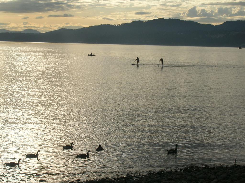 Davis Bay Bed & Breakfast Sechelt Eksteriør billede